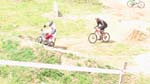 IMGA0229
