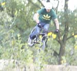 DSC01954