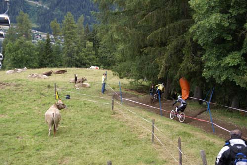 Schladming (120)