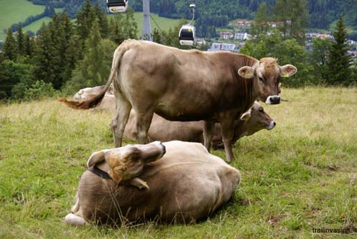 Schladming (124)