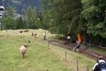 Schladming (120)