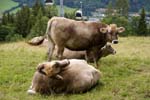 Schladming (124)